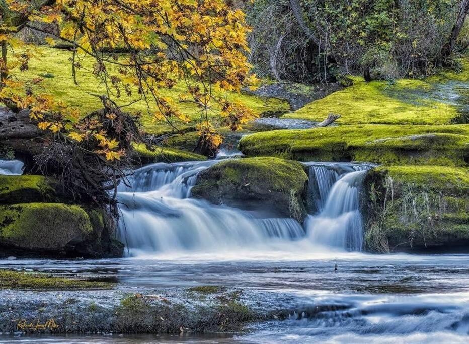 Nature Lovers' Paradise Βίλα Ναναΐμο Εξωτερικό φωτογραφία